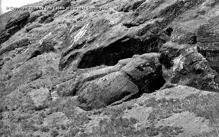 RRI_Cantera_Interior_24.jpg - Easter Island. 1960. Interior quarry of Rano Raraku.