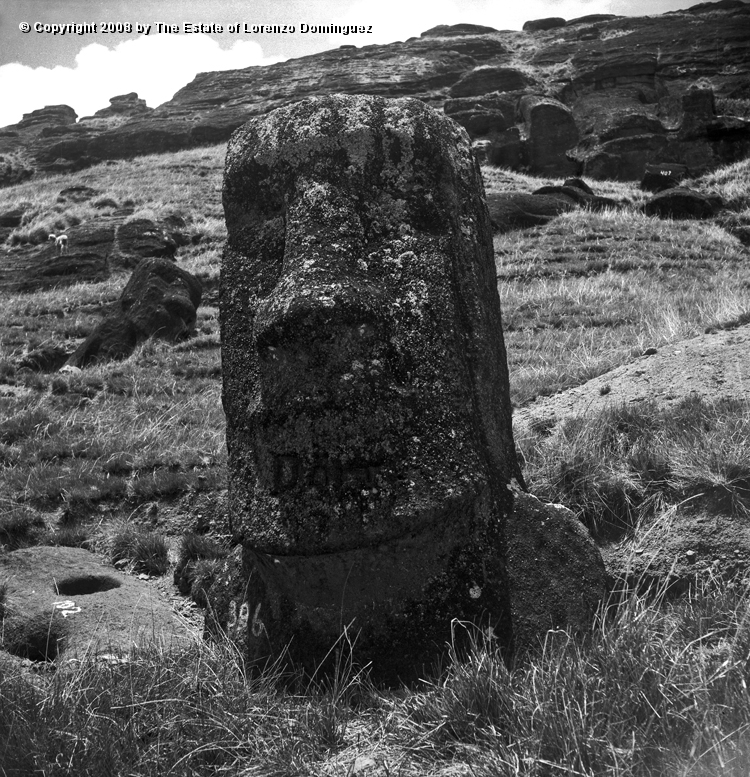 RRI_El_Cristo_07.jpg - Easter Island. 1960. Moai on the interior slope of Rano Raraku. Lorenzo Dominguez called this moai "The Christ" because it reminded him of a romanic image of Christ he had seen at the Louvre.