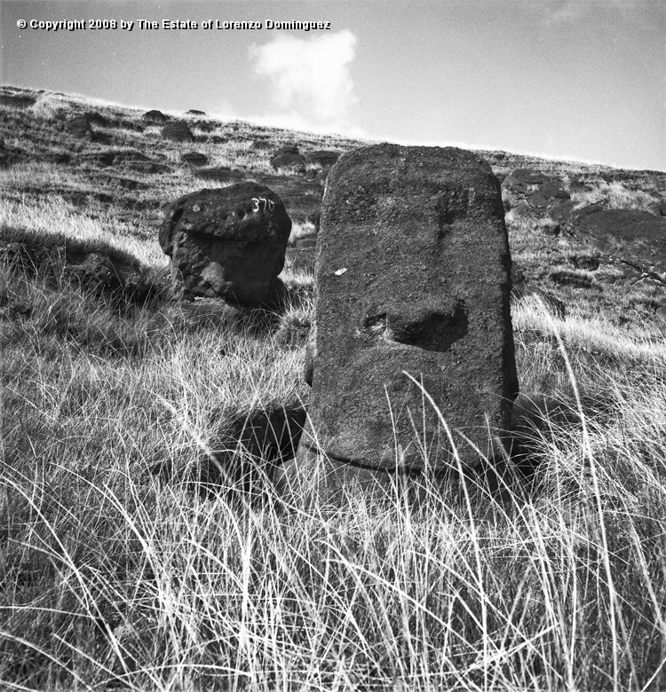 RRI_El_Pensador_01.jpg - Easter Island. 1960. Moai at the foot of the interior quarry of Rano Raraku. In the background, a moai Lorenzo Dominguez used to call "The Thinker."