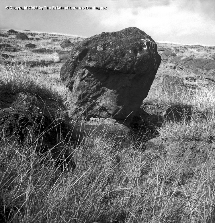 RRI_El_Pensador_02.jpg - Easter Island. 1960. Moai at the foot of the interior quarry of Rano Raraku. Lorenzo Dominguez calledto this moai "The Thinker" comparing its pose with Rodin's sculpture.