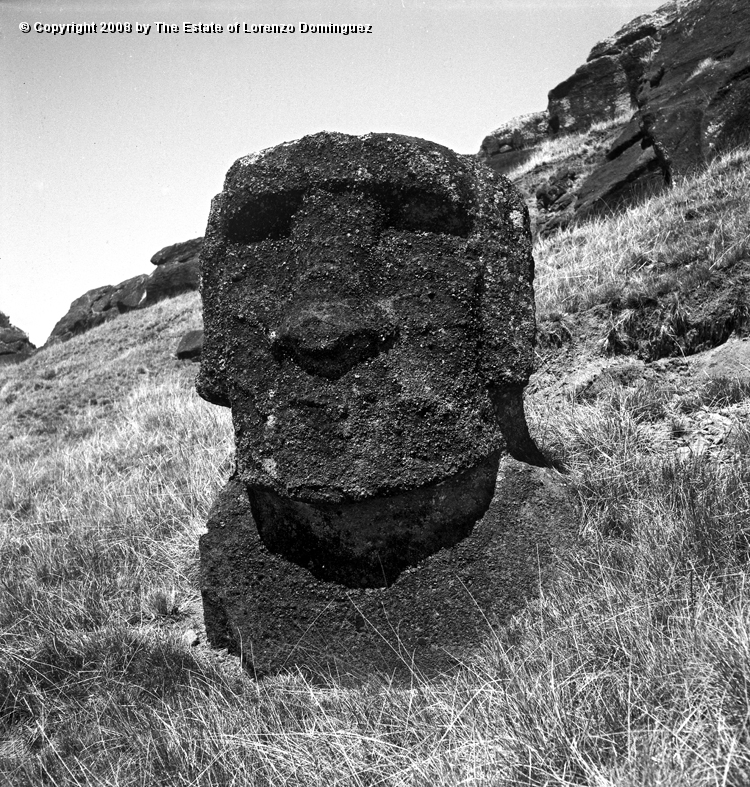 RRI_Extrano_Moai_01.jpg - Easter Island. 1960. Strange moai on the interior slope of Rano Raraku.