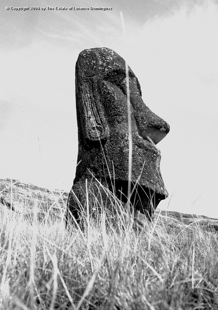 RRI_La_Brizna_01.jpg - Easter Island. 1960. Moai on the interior slope of Rano Raraku. "The leave of grass."