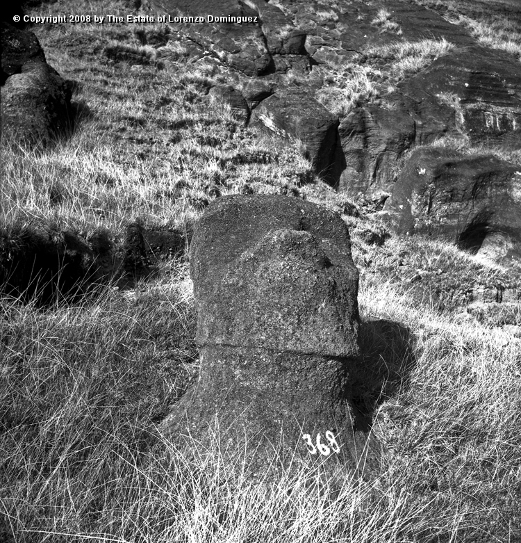 RRI_Ladera_Interior_02.jpg - Easter Island. 1960. Reclining moai on the interior slope of Rano Raraku.