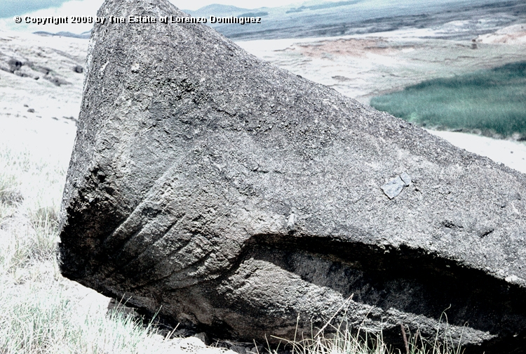 RRI_Mano_de_moai_01.jpg - Easter Island. 1960. Detail of the hands of a moai on the interior slope of Rano Raraku.