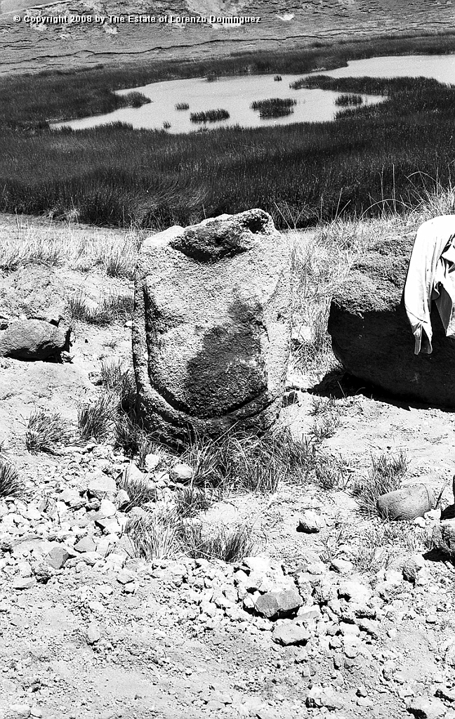 RRI_Pequeno_moai_01.jpg - Easter Island. 1960. Interior slope of Rano Raraku. Torso of a small moai, probably representing a female, that Dr. Carlos Rojas and I found and erected one afternoon.