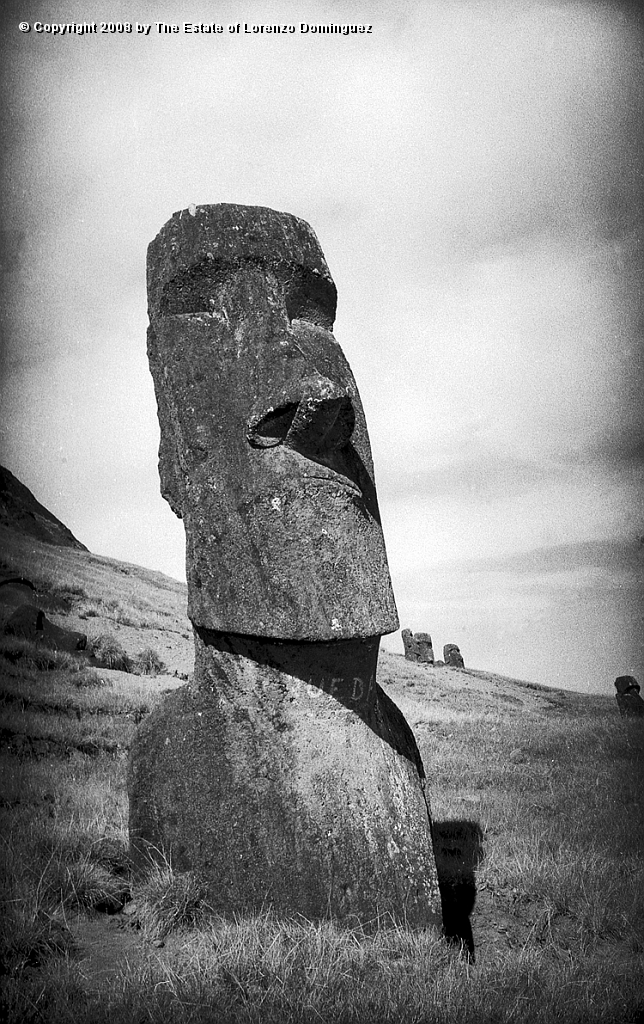 RRE_Baquedano_18.jpg - Easter Island. 1960. Moai on the exterior slope of Rano Raraku. Called "Baquedano" because of the sign painted on its neck by sailors of the homonym ship.