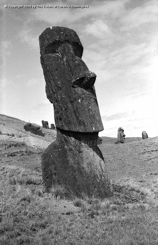 RRE_Baquedano_19.jpg - Easter Island. 1960. Moai on the exterior slope of Rano Raraku. Called "Baquedano" because of the sign painted on its neck by sailors of the homonym ship.