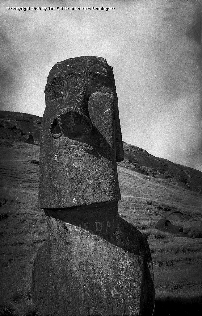 RRE_Baquedano_22.jpg - Easter Island. 1960. Moai on the exterior slope of Rano Raraku.  Called "Baquedano" because of the sign painted on its neck by sailors of the homonym ship.