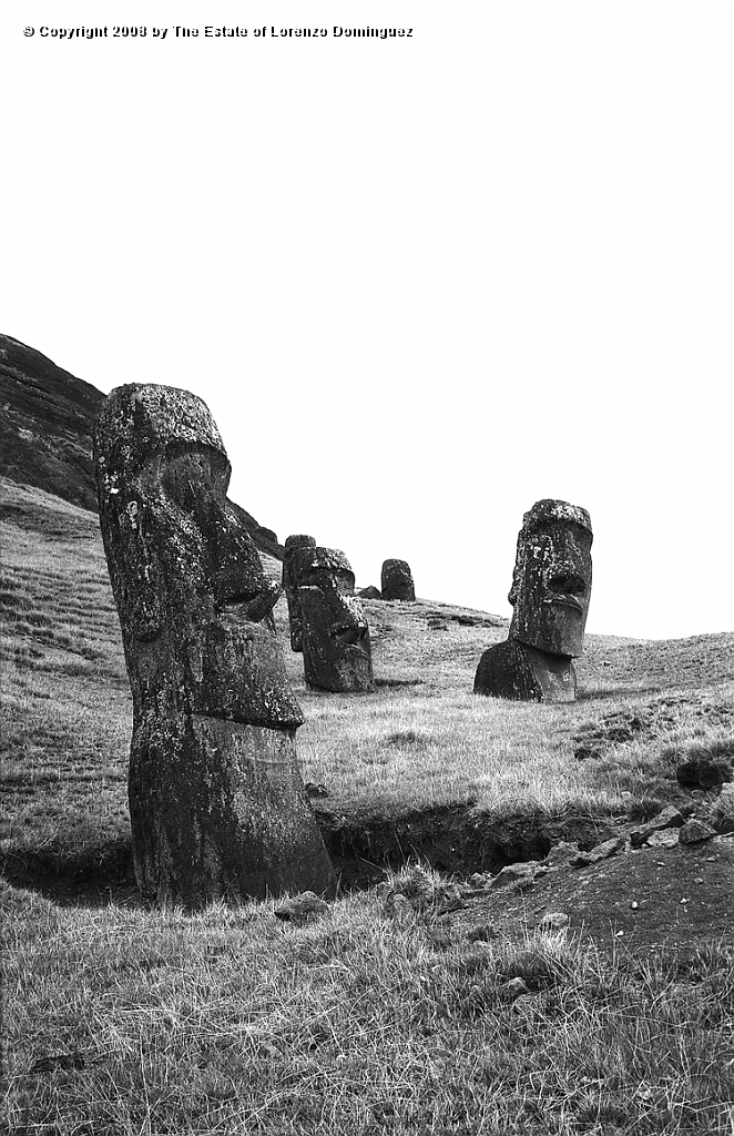 RRE_Gioconda_14.jpg - Easter Island. 1960. Sentry moai on the exterior slope of Rano Raraku. In the foreground, moai identified by Lorenzo Dominguez as "Gioconda"