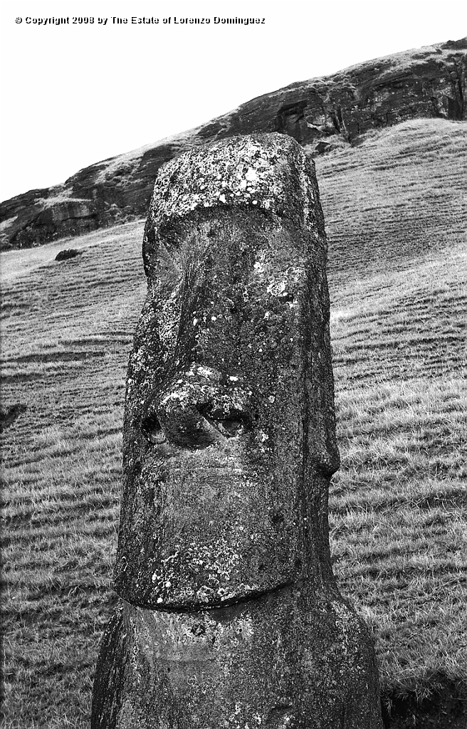 RRE_Gioconda_15.jpg - Easter Island. 1960. Moai on the exterior slope of Rano Raraku. Moai identified by Lorenzo Dominguez as "Gioconda"
