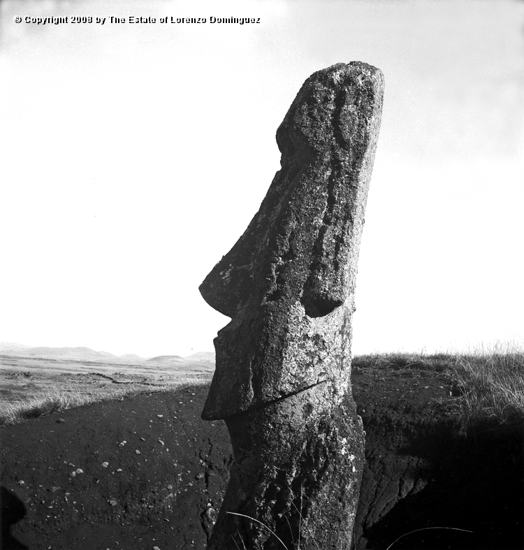RRE_Herido_07.jpg - Easter Island. 1960. Moai on the exterior slope of Rano Raraku. Identified by Lorenzo Dominguez as "The Wounded One."