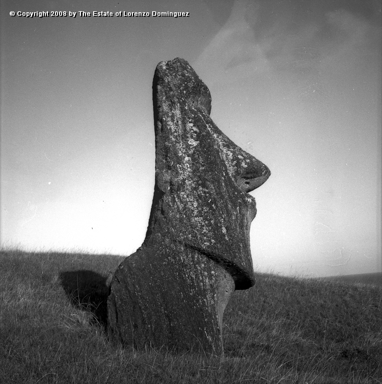 RRE_Hina_Riru_10.jpg - Easter Island. 1960. Moai on the exterior slope of Rano Raraku.  This moai is said to represent Hina-Riru, the first master sculptor who arrived on Easter Island with king Hotu Matu'a.