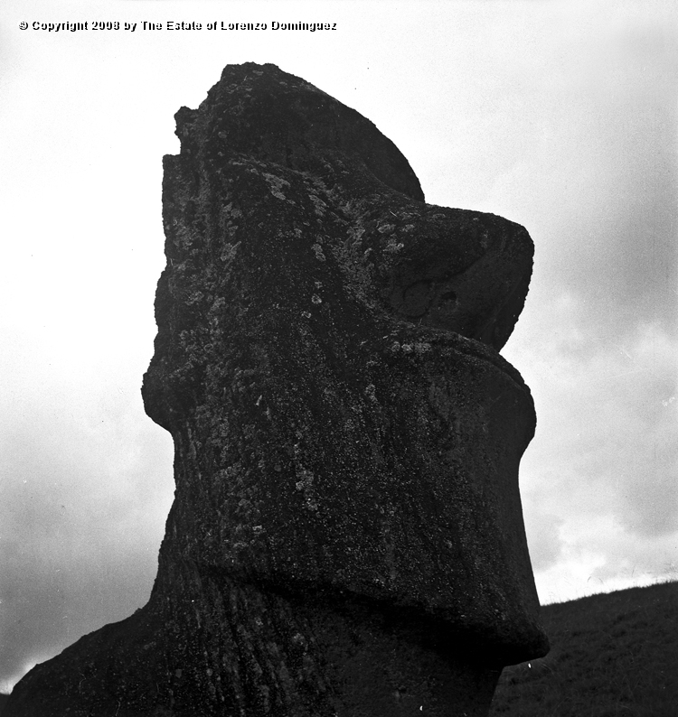 RRE_Hina_Riru_12.jpg - Easter Island. 1960. Moai on the exterior slope of Rano Raraku.  This moai is said to represent Hina-Riru, the first master sculptor who arrived on Easter Island with king Hotu Matu'a.
