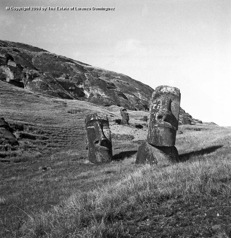 RRE_Hina_Riru_17.jpg - Easter Island. 1960. Two moai on the exterior slope of Rano Raraku. Almost frontal view of the moai Hina Riru, said to represent the first master sculptor who arrived on Easter Island with king Hotu Matu'a.