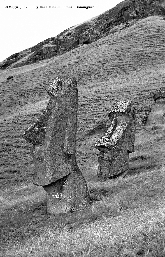 RRE_Hina_Riru_29.jpg - Easter Island. 1960. Two moai on the exterior slope of Rano Raraku.  In front, the  moai said to represent Hina-Riru, the first master sculptor who arrived on Easter Island with king Hotu Matu'a. Easter Island. In the background, the moai identified by Lorenzo Dominguez as "The Sunken One."