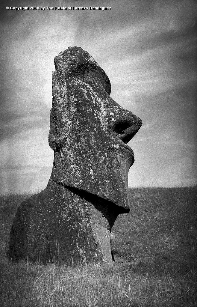 RRE_Hina_Riru_32.jpg - Easter Island. 1960. Moai on the exterior slope of Rano Raraku.  This moai is said to represent Hina-Riru, the first master sculptor who arrived on Easter Island with king Hotu Matu'a.