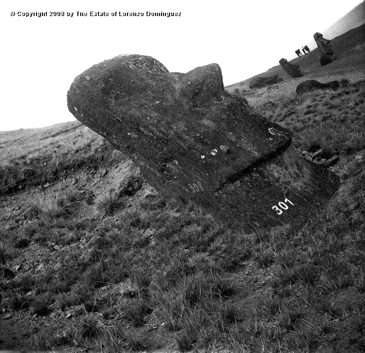 RRE_Ladera_Exterior_05.jpg - Easter Island. 1960. Moai on the exterior slope of Rano Raraku. In the bacground, Santiago Pakarati with the horses.