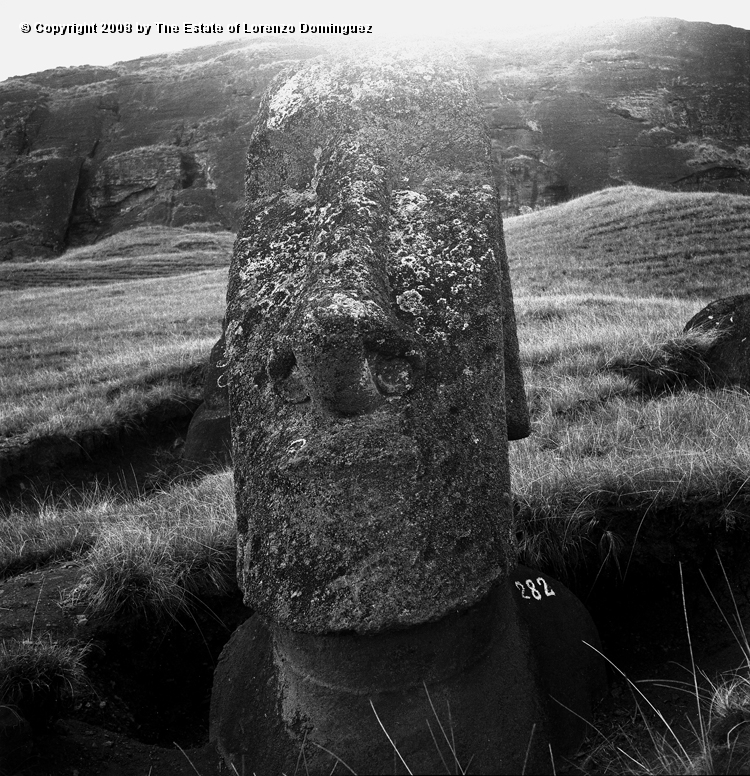 RRE_Ladera_Exterior_10.jpg - Easter Island. 1960. Moai in front of the buried one, on the exterior slope of Rano Raraku.