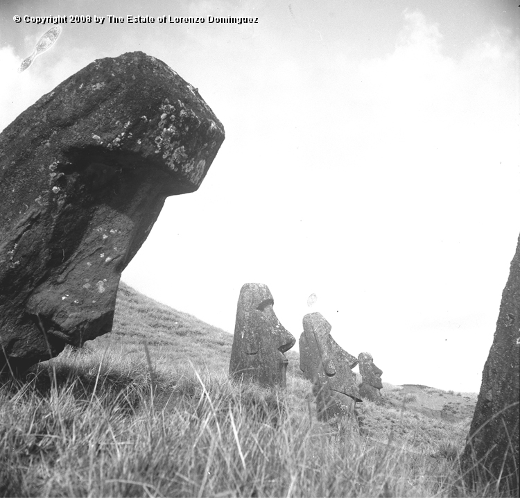 RRE_Ladera_Exterior_12.jpg - Easter Island. 1960. Moai leaning forward on the exterior slope of Rano Raraku.
