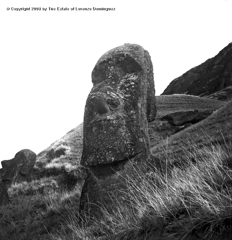 RRE_Ladera_Exterior_16.jpg - Easter Island. 1960. Moai leaning upward on the exterior slope of Rano Raraku.