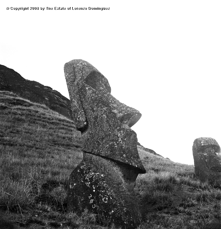 RRE_Ladera_Exterior_17.jpg - Easter Island. 1960. Exterior slope of the volcano. Moai leaning upward.