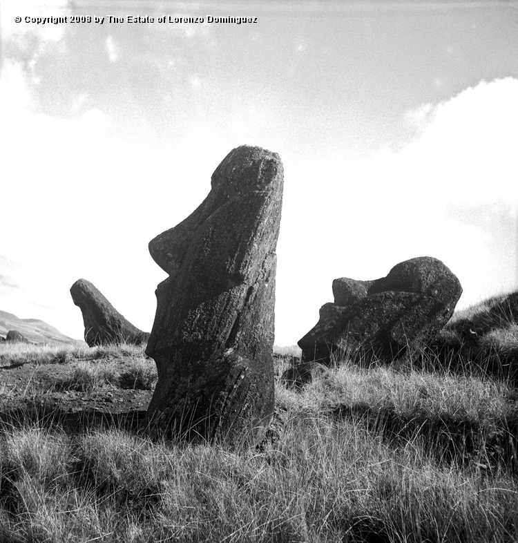 RRE_Ladera_Exterior_21.jpg - Easter Island. 1960. Three moai on the exterior slope of Rano Raraku.