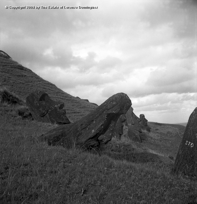 RRE_Ladera_Exterior_24.jpg - Easter Island. 1960. Group of moai leaning on the exterior slope of Rano Raraku.