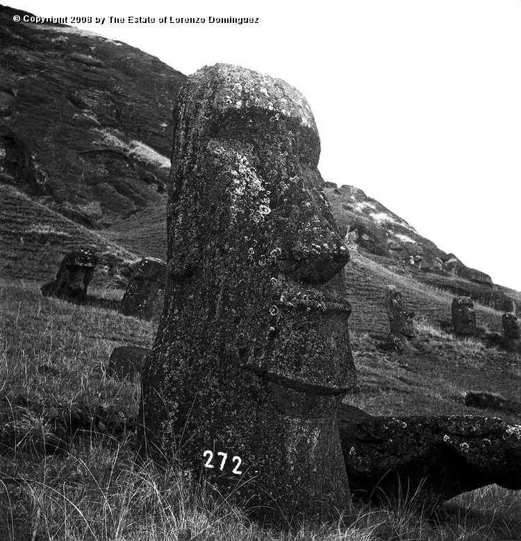 RRE_Ladera_Exterior_25.jpg - Easter Island. 1960. Moai on the exterior slope of Rano Raraku.