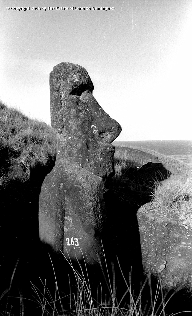 RRE_Ladera_Exterior_37.jpg - Easter Island.1960. Moai on the exterior slope of Rano Raraku.