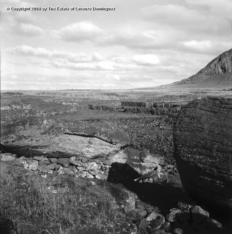 TAM_Moai_08.jpg - Easter Island. 1960. Ahu Tongariki. Moai fallen over the ahu walls.  Photograph taken shortly before the destruction of the ahu by the tsunami of May 22, 1960.