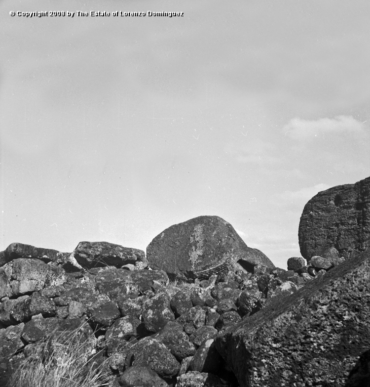 TAM_Moai_09.jpg - Easter Island. 1960. Ahu Tongariki. Moai fallen over the ahu wall.  Photograph taken shortly before the destruction of the ahu by the tsunami of May 22, 1960.