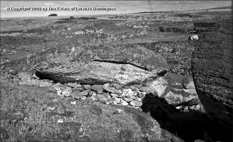 TAM_Moai_18.jpg - Easter Island. Ahu Tongariki. Fallen moai. Photograph taken shortly before 1960. the destruction of the ahu by the tsunami of May 22, 1960.