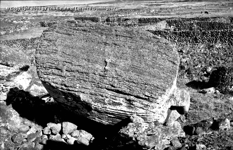 TAM_Moai_19.jpg - Easter Island. 1960. Ahu Tongariki. Fallen moai. Photograph taken shortly before the destruction of the ahu by the tsunami of May 22, 1960.