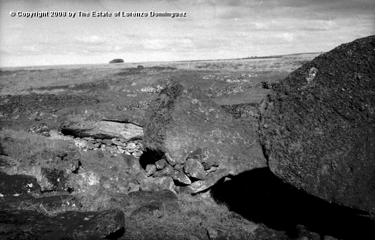 TAM_Moai_20.jpg - Easter Island. 1960. Ahu Tongariki. Fallen moai. Photograph taken shortly before the destruction of the ahu by the tsunami of May 22, 1960.