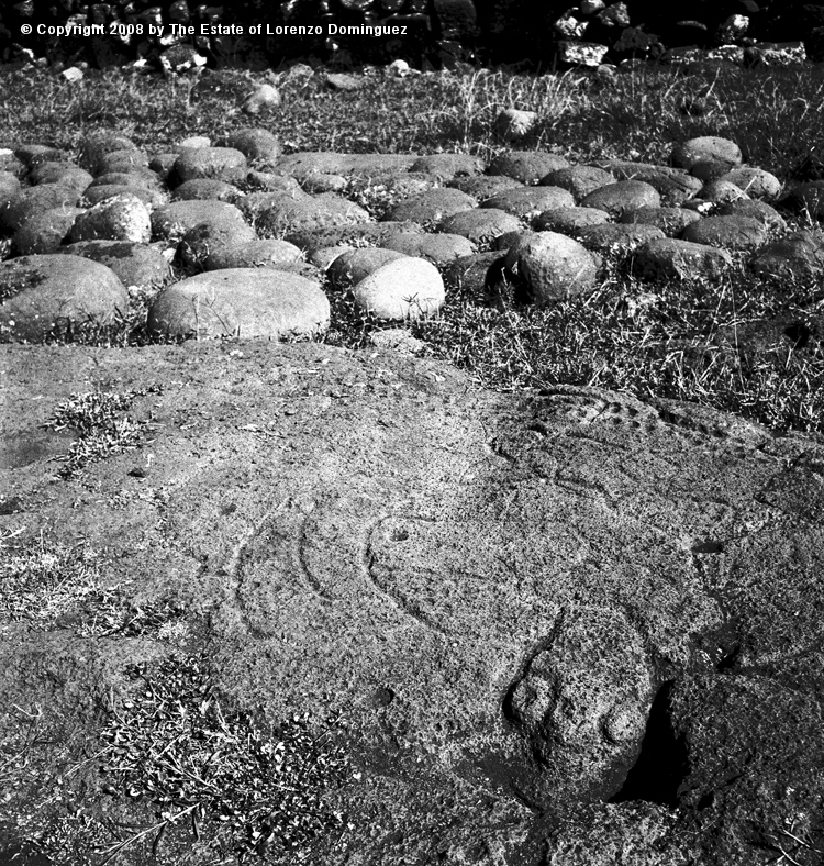 TAM_Petroglifo_01.jpg - Easter Island. 1960. Ahu Tongariki. Rests of pavement and a petroglyph respresenting a drinking turtle. Photograph taken shortly before the destruction of the ahu by the tsunami of May 22, 1960.