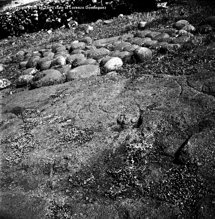 TAM_Petroglifo_02.jpg - Easter Island. 1960. Ahu Tongariki. Rests of pavement and a petroglyph respresenting a drinking turtle. Photograph taken shortly before the destruction of the ahu by the tsunami of May 22, 1960.