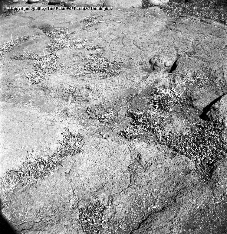 TAM_Petroglifo_04.jpg - Easter Island. 1960. Ahu Tongariki. Rests of pavement and a petroglyph respresenting a drinking turtle. Photograph taken shortly before the destruction of the ahu by the tsunami of May 22, 1960.