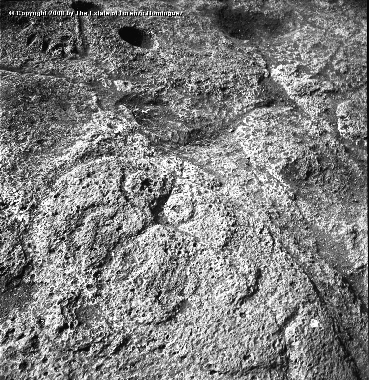 TAM_Petroglifo_05.jpg - Easter Island. 1960. Ahu Tongariki. Papa rona petroglyph representing makemake. Photograph taken shortly before the destruction of the ahu by the tsunami of May 22, 1960.