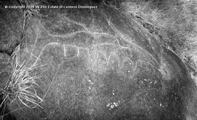 TAM_Petroglifo_07.jpg - Easter Island. 1960. Ahu Tongariki. Photograph taken shortly before the destruction of the ahu by the tsunami of May 22, 1960. Petroglyph "paparona" on the ahu platform representing a toyo fish.
