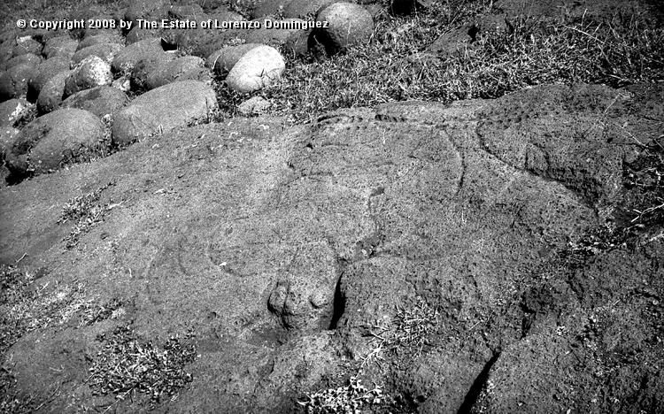 TAM_Petroglifo_08.jpg - Easter Island. 1960. Ahu Tongariki. Rests of pavement and a "paparona" petroglyph on the ahu platform. The petroglyph represents a drinking turtle. Photograph taken shortly before the destruction of the ahu by the tsunami of May 22, 1960.