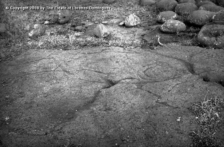TAM_Petroglifo_09.jpg - Easter Island. 1960. Ahu Tongariki. Rests of pavement and paparona petroglyph representing a tuna fish. Photograph taken shortly before the destruction of the ahu by the tsunami of May 22, 1960.