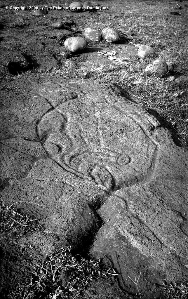 TAM_Petroglifo_11.jpg - Easter Island. 1960. Ahu Tongariki. Paparona petroglyph representing a fish. Photograph taken shortly before the destruction of the ahu by the tsunami of May 22, 1960.
