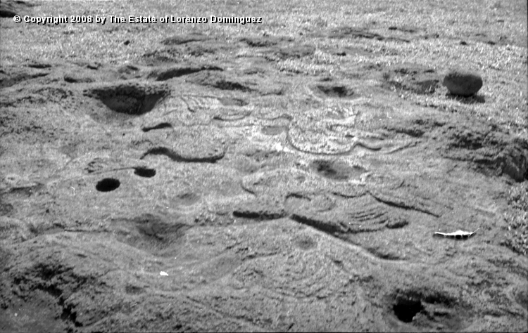 TAM_Petroglifo_12.jpg - Easter Island. 1960. Ahu Tongariki. Paparona petroglyph representing birdmen. Photograph taken shortly before the destruction of the ahu by the tsunami of May 22, 1960.