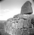 TAM_Ahu_02