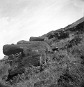 TAM_Moai_01