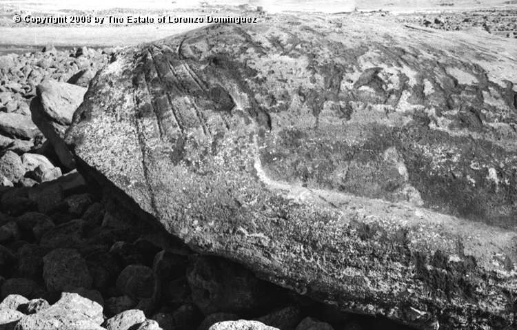 TDM_Manos_02.jpg - Easter Island. 1960. Ahu Tongariki. Detail of hand with double incision line in between fingers. Photograph taken shortly after the destruction of the ahu by the tsunami of May 22, 1960.