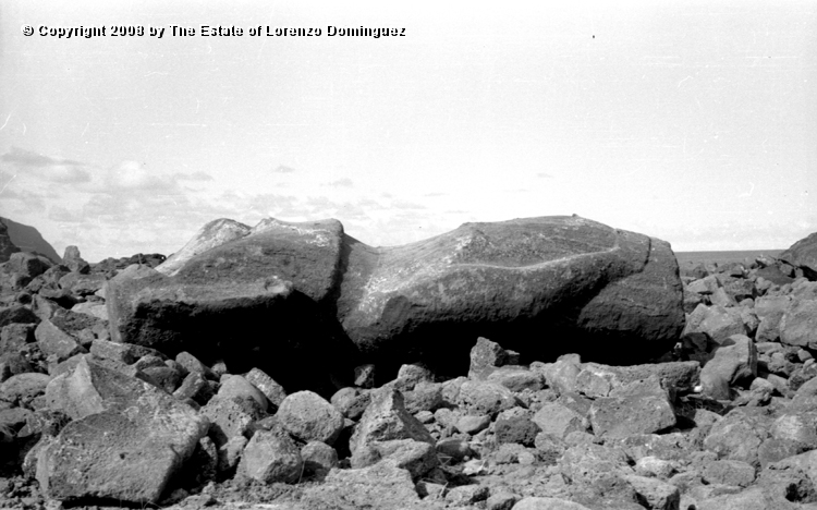 TDM_Moai_04.jpg - Easter Island. 1960. AhuTongariki. Fallen moai. Photograph taken shortly after the destruction of the ahu by the tsunami of May 22, 1960.