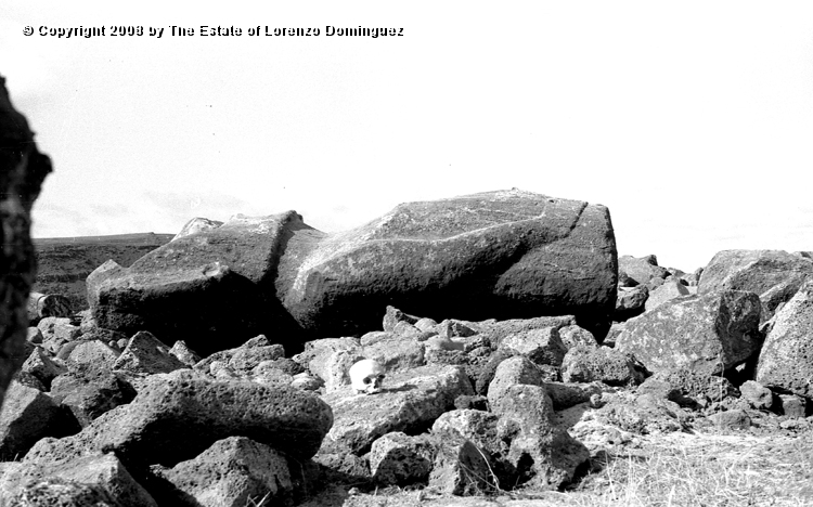 TDM_Moai_05.jpg - Easter Island. 1960. Ahu Tongariki. Fallen moai. Photograph taken shortly after the destruction of the ahu by the tsunami of May 22, 1960.