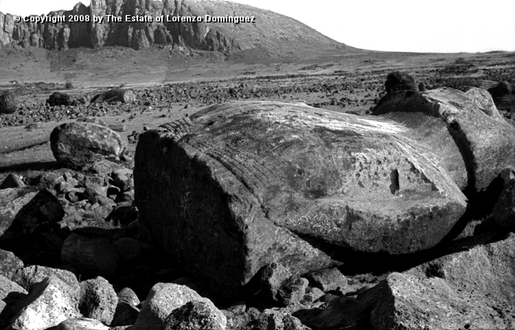 TDM_Moai_13.jpg - Easter Island. 1960. Ahu Tongariki. Moai overturned by the tsunami. Photograph taken shortly after the destruction of the ahu by the tsunami of May 22, 1960.