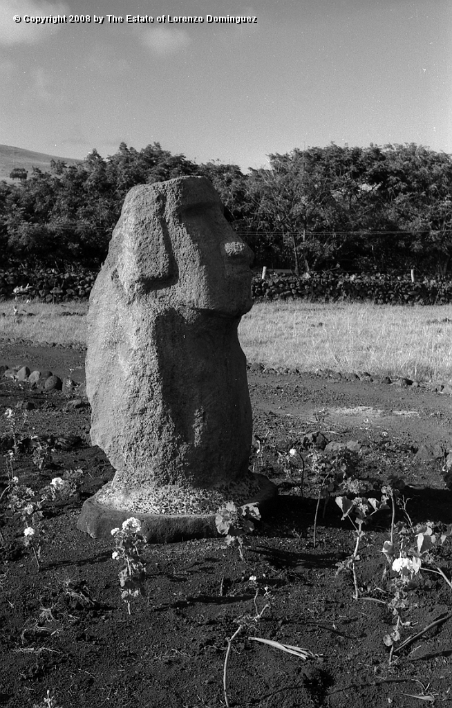 TDM_Moai_Inconcluso_04.jpg - Easter Island. 1960. Small moai found in Tongariki after the tsunami of May 22, 1960.
